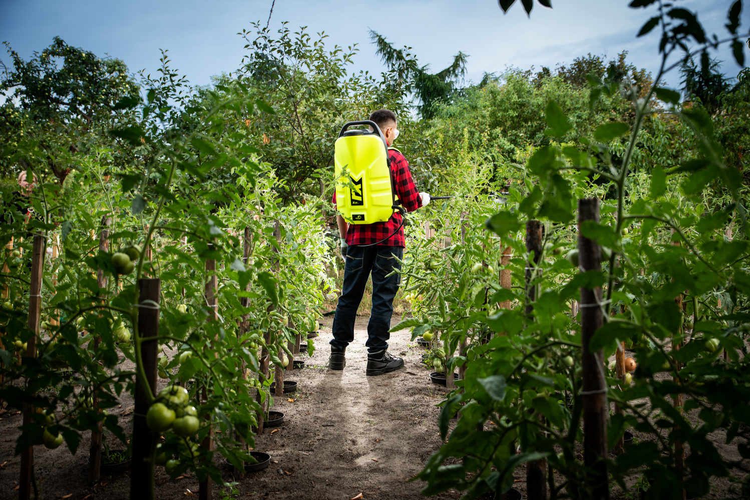 MAROLEX RX Garden 12l - Image 2