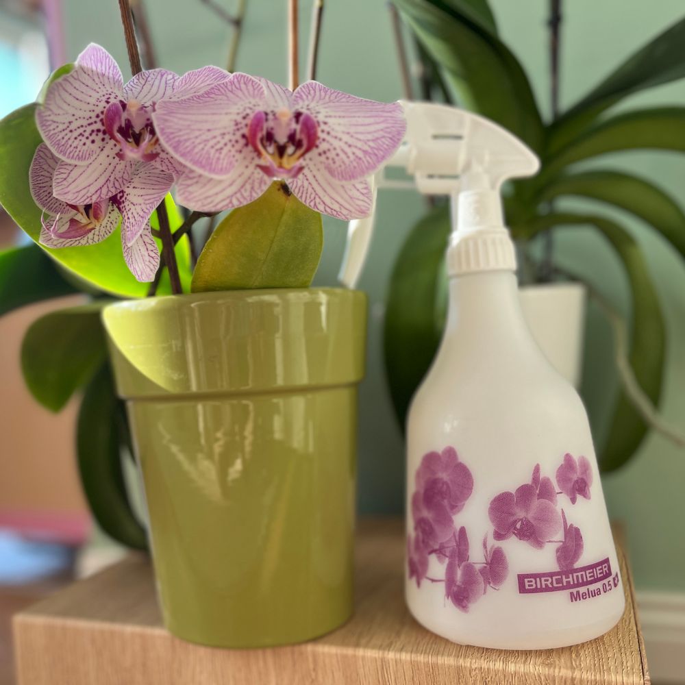 BIRCHMEIER Melua 0,5l - Image 2