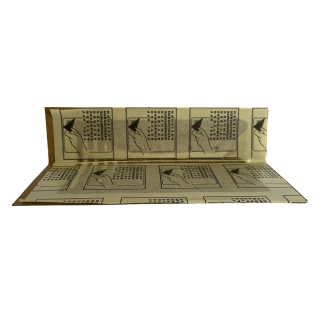 ProCaptura UNI Karton Rovarcsapda 155x88mm 1