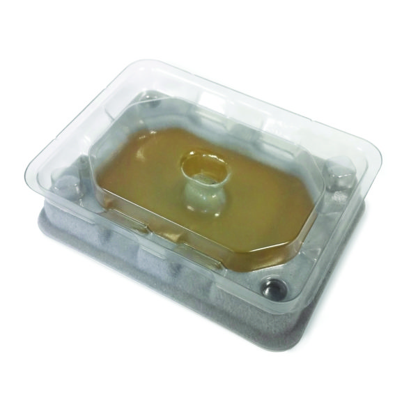 Slider Irtószermentes ágyi poloska monitor csapda