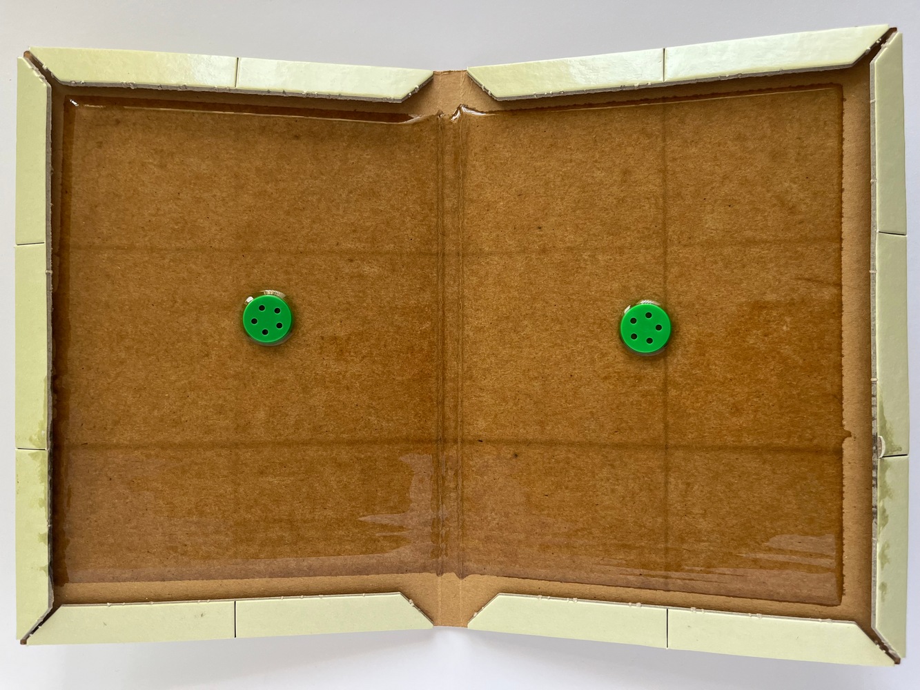 ProCaptura Mega Mappa Rágcsálócsapda 350x250mm Csalogató anyaggal - Image 2