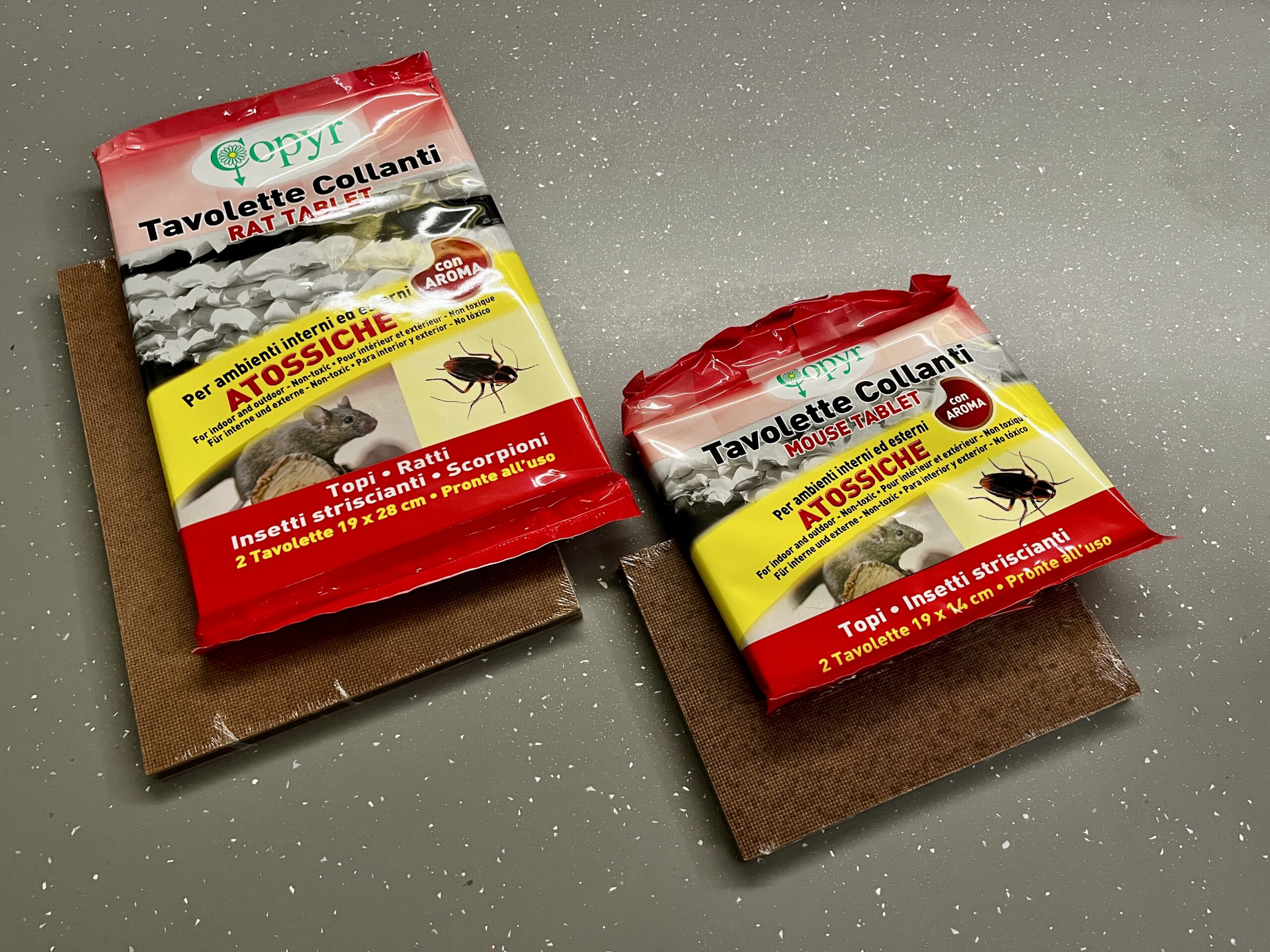 Egér és patkánycsapda (14x19 cm) ragasztós Copyr